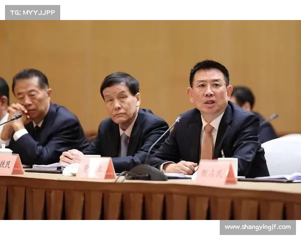 体育赛事申报全过程指南材料准备与审批流程优化策略分析