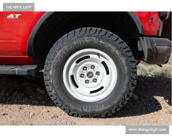 倍耐力赛事运动—倍耐力测评